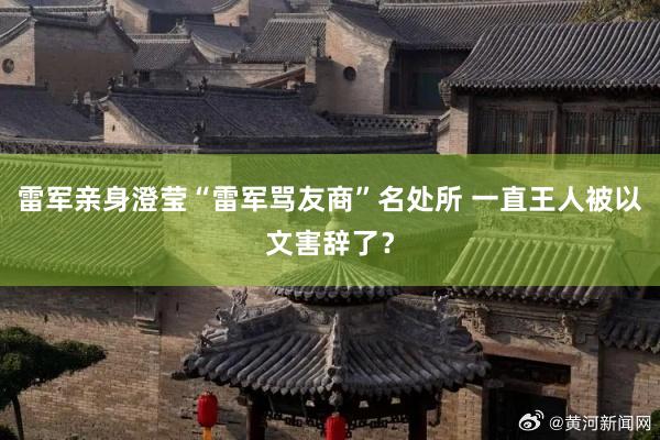 雷军亲身澄莹“雷军骂友商”名处所 一直王人被以文害辞了？