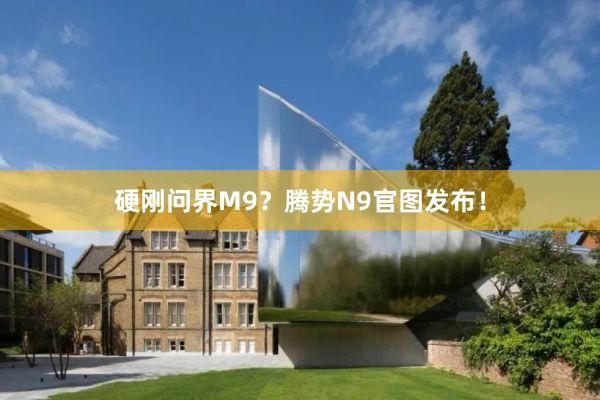 硬刚问界M9？腾势N9官图发布！