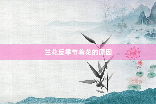 兰花反季节着花的原因