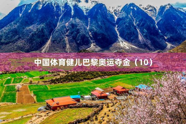 中国体育健儿巴黎奥运夺金（10）