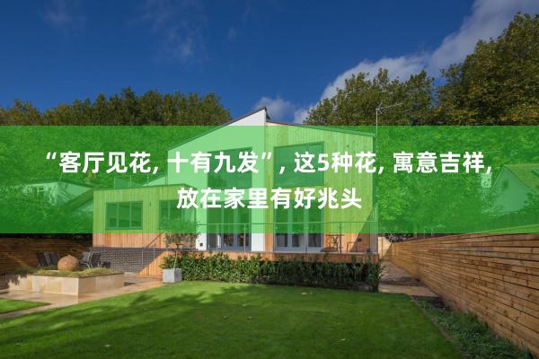 “客厅见花, 十有九发”, 这5种花, 寓意吉祥, 放在家里