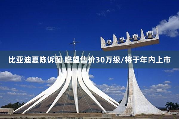 比亚迪夏陈诉图 瞻望售价30万级/将于年内上市