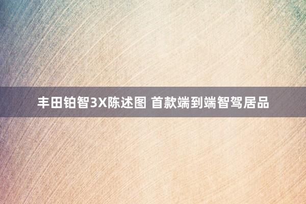 丰田铂智3X陈述图 首款端到端智驾居品